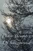 Poetic Thoughts  Of Schizophrenia