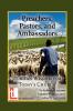 Preachers Pastors and Ambassadors