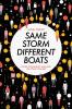 Same Storm Different Boats