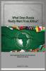 What does Russia really want from Africa? Interrogating Russia's re-awakened interest in Africa