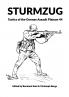 STURMZUG
