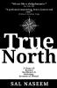 True North