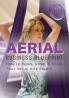 Aerial Business Blueprint