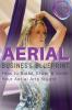 Aerial Business Blueprint