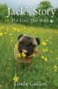 Jack's Story