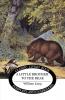 Little Brother to the Bear
