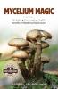 Mycelium Magic