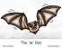 The 'at' Bat