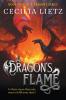 A Dragon's Flame
