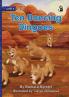 Ten Dancing Dingoes - Our Yarning