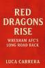Red Dragons Rise