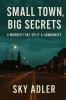 Small Town Big Secrets