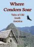 Where Condors Soar