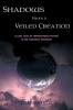 Shadows from a Veiled Creation