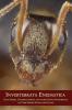 Invertebrata Enigmatica