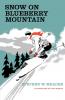 Snow On Blueberry Mountain
