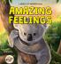 Amazing Feelings