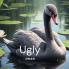 Ugly Swan