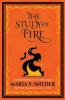The Study of Fire