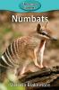 Numbats