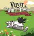 Velvet and White Paws