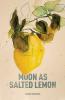 Moon as Salted Lemon