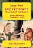 Large Print Old Testament Word Search Fun! Book 1