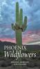 Phoenix Wildflowers
