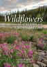 Wildflowers of Alaska and the Yukon Territory