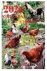 Calendar 2026 & Stories. Peter the Rooster & His 7 Hens