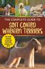 The Complete Guide to Soft Coated Wheaten Terriers