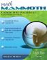 Math Mammoth Grade 8-B Worktext Canadian Version