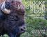 Rocky Mountain Bison