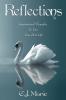 Reflections