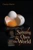 Splitting Open the World