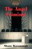 The Angel Criminal