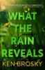 What the Rain Reveals