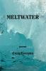 Meltwater