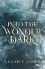 Into the Wonder Dark