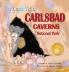 MOUSE Visits Carlsbad Caverns National Park