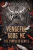 Vengeful Gods MC