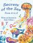 Secrets of the Sea from A to Z