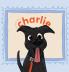 My Best Friend Charlie