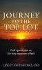 Journey to the Top Lot