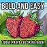 Bold and Easy Large Print Coloring Book