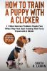 How to Train a Puppy with a Clicker