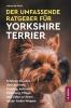 Der Umfassende Ratgeber Für Yorkshire Terrier