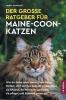 Der große Ratgeber für Maine-Coon-Katzen