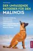 Der Umfassende Ratgeber Für den Malinois