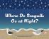 Where Do Seagulls Go at Night?